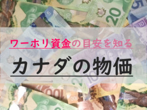 カナダの物価は高い？日本の生活費と比較。1年間滞在に必要な資金・費用